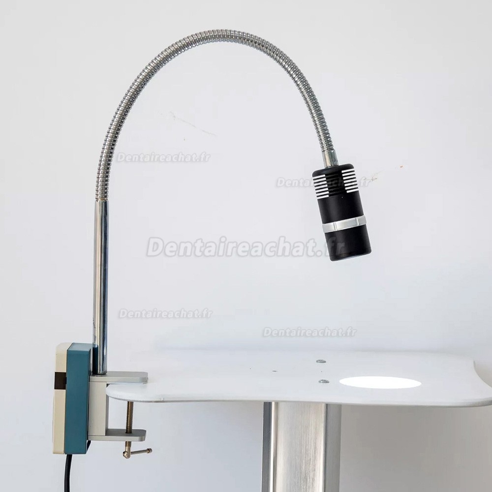 Lampe d'examen dentaire à LED à pince Micare JD1200J 12 W (à fixer sur le bureau)